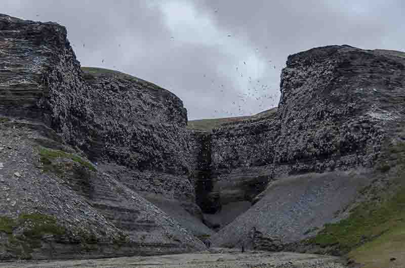 108 - Noruega - islas Svalbard - isla de Edgeoya - Diskobukta